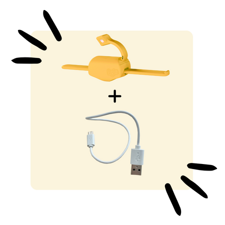 Bundle Lizia & Charging Cable